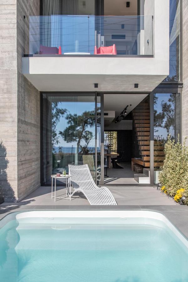 Ikies 3 Modern Eco-Friendly Private Seaview Signature Villas With A Pool Volos Exterior photo